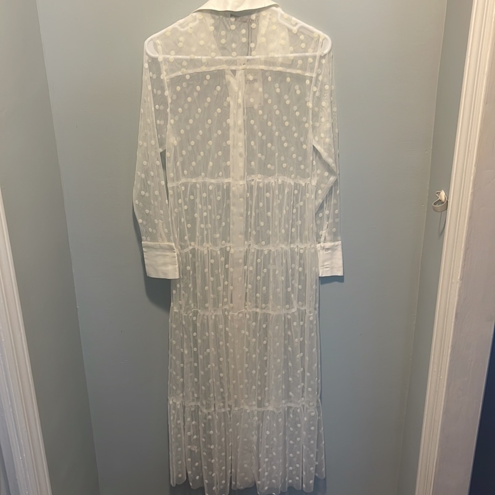 Zara Long Polka Dot Tulle Dress *NWT* - Picture 15 of 15